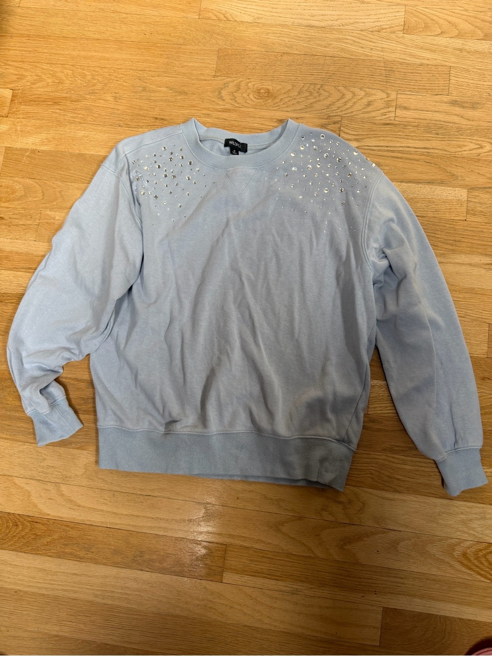 Wildfox Light Blue Jeweled Crewneck Sweatshirt